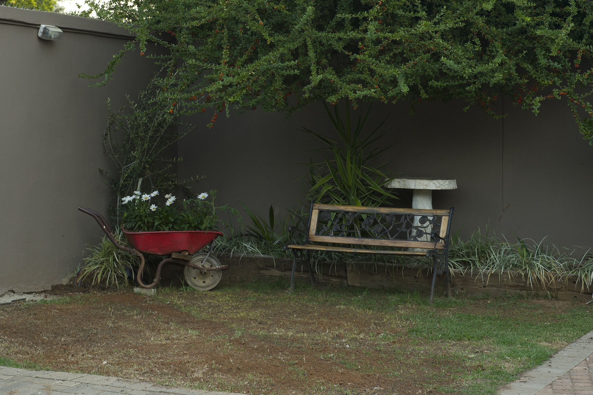 Фото Cottonwood Guesthouse