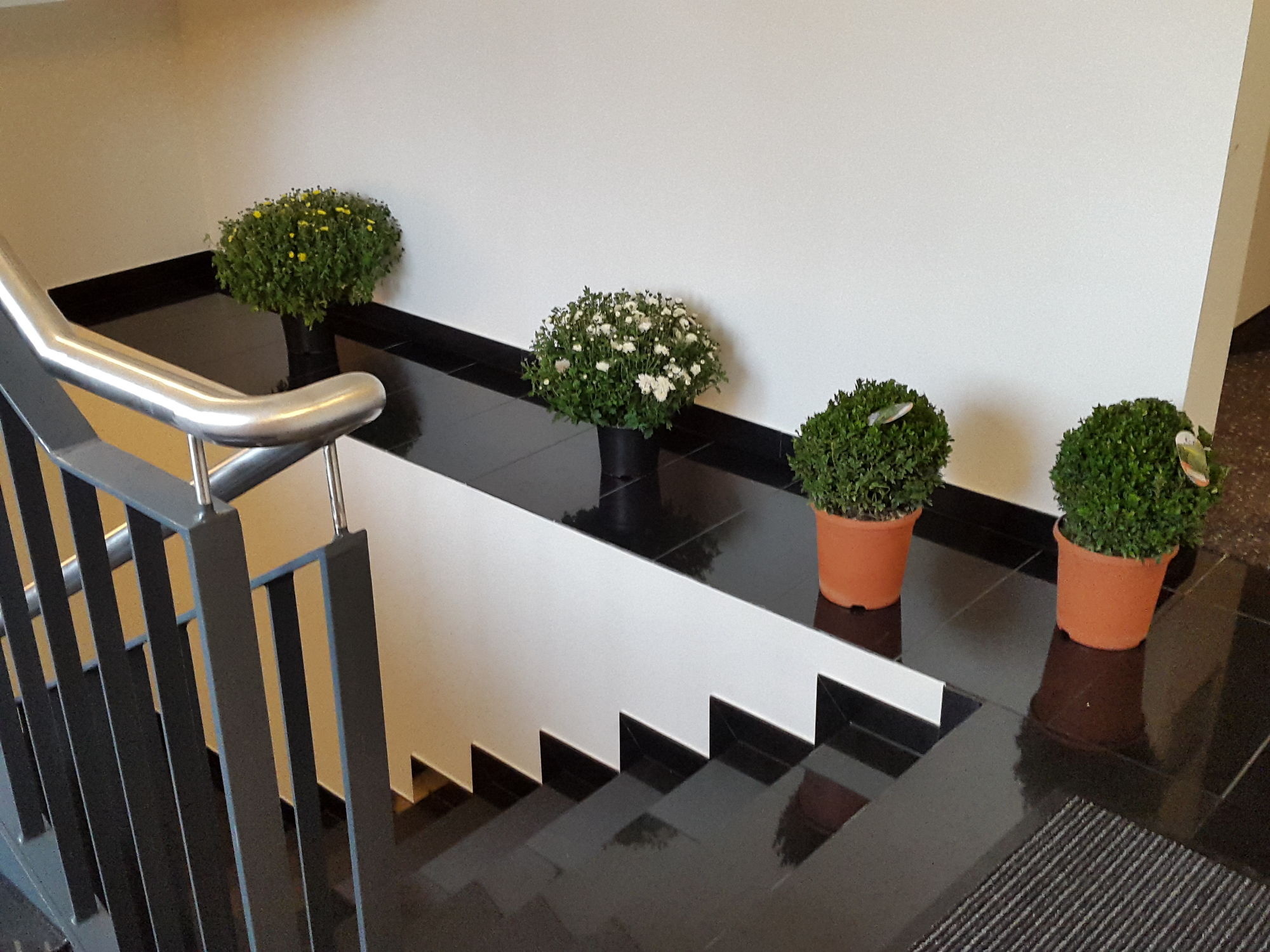 Фото Hotel Am Kaisersaal