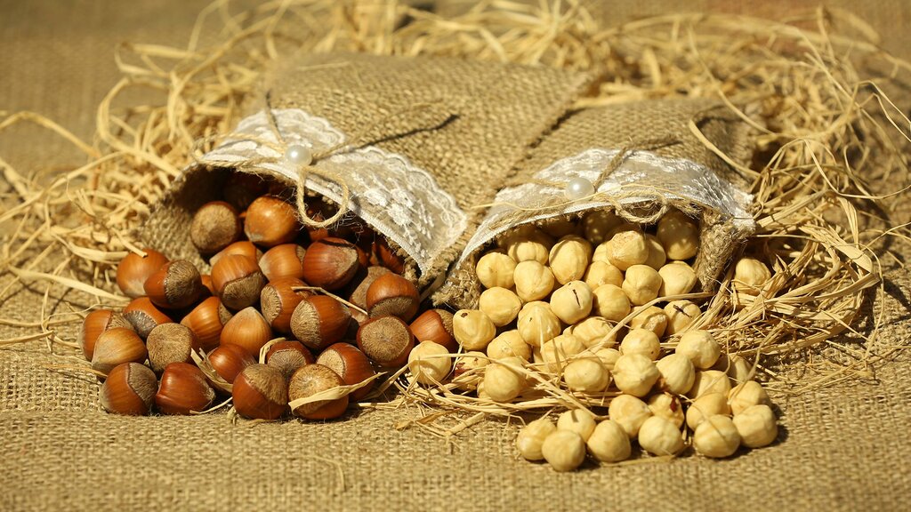 Industrial enterprise Fmu Kuruyemiş Gıda Nutpark, Denizli, photo