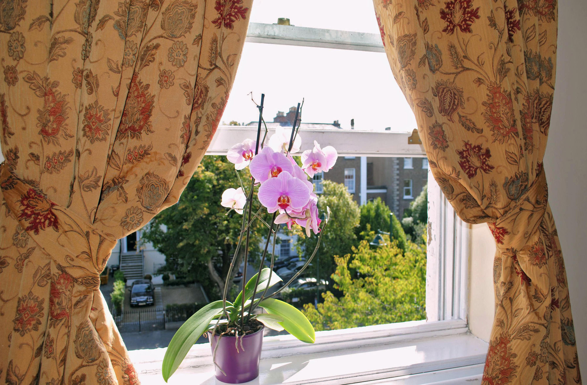 Фото Waterloo Lodge