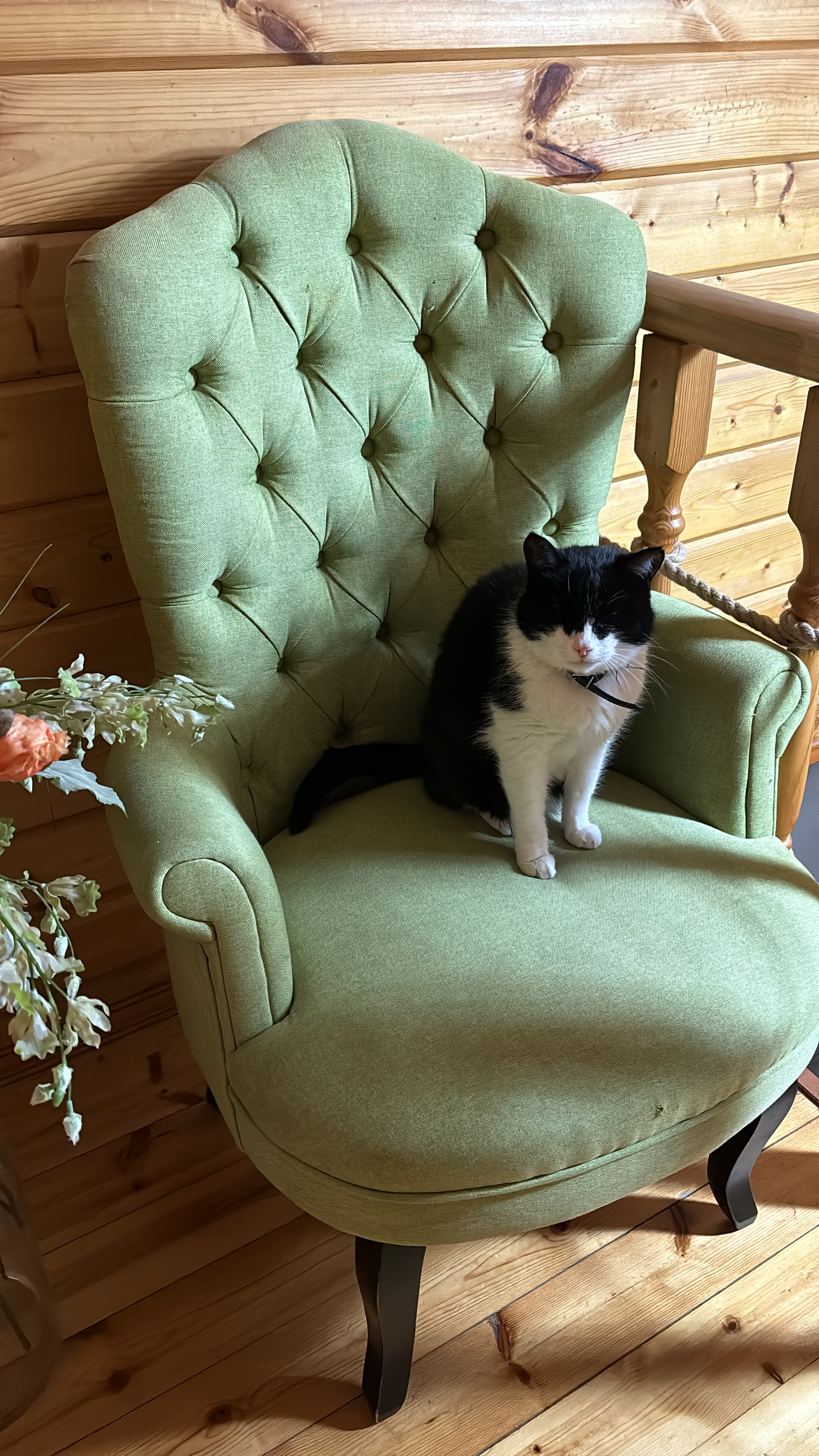 Фото Усадьба Жемчужная