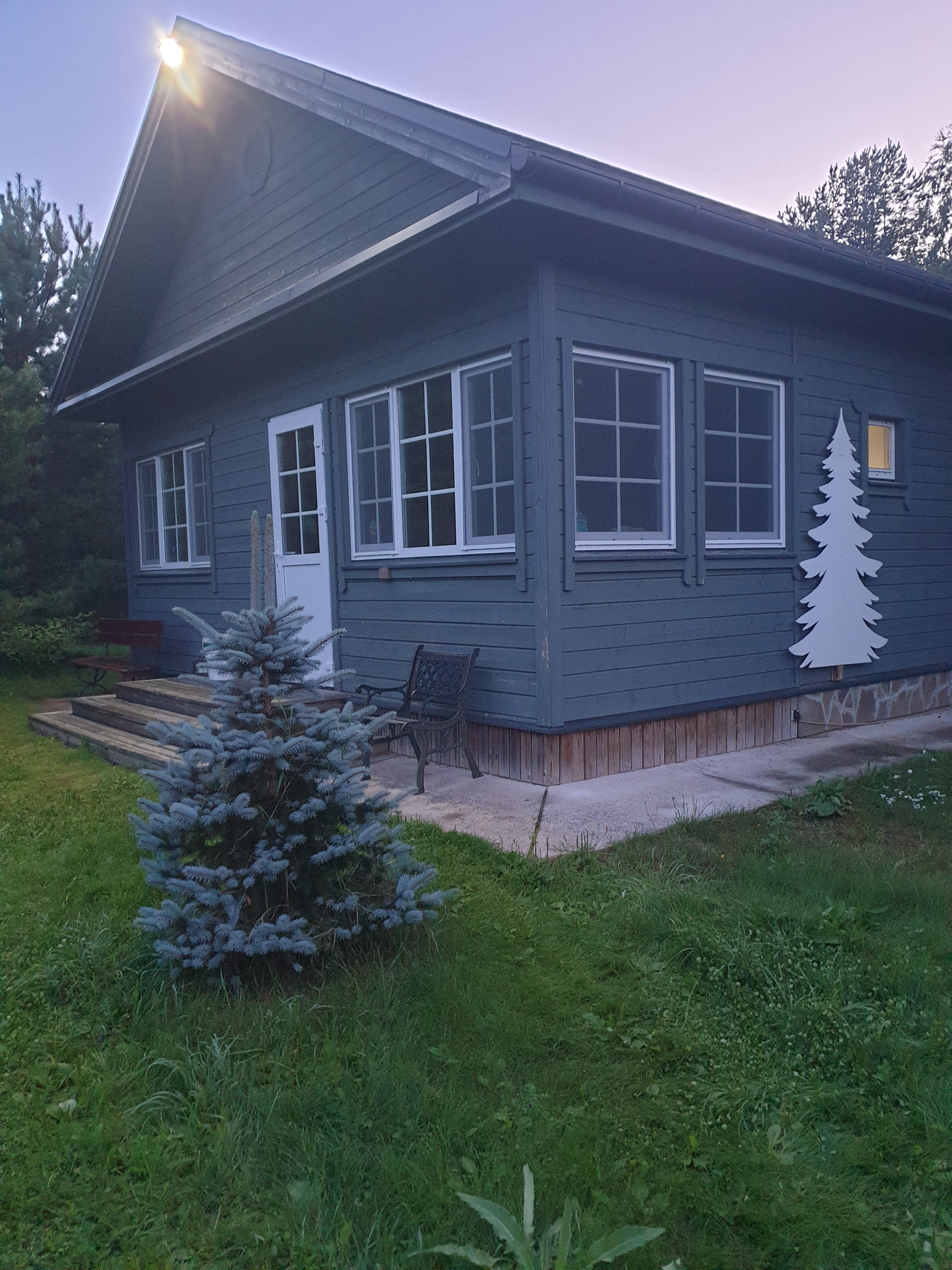 Фото Домики под соснами