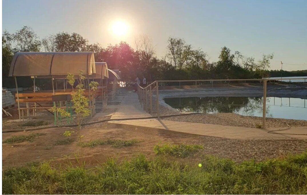 Фото Белый лев