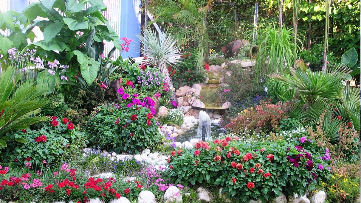 Фото Hotel Le Palme