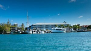 Гостиница Flamingo Bay Hotel and Marina