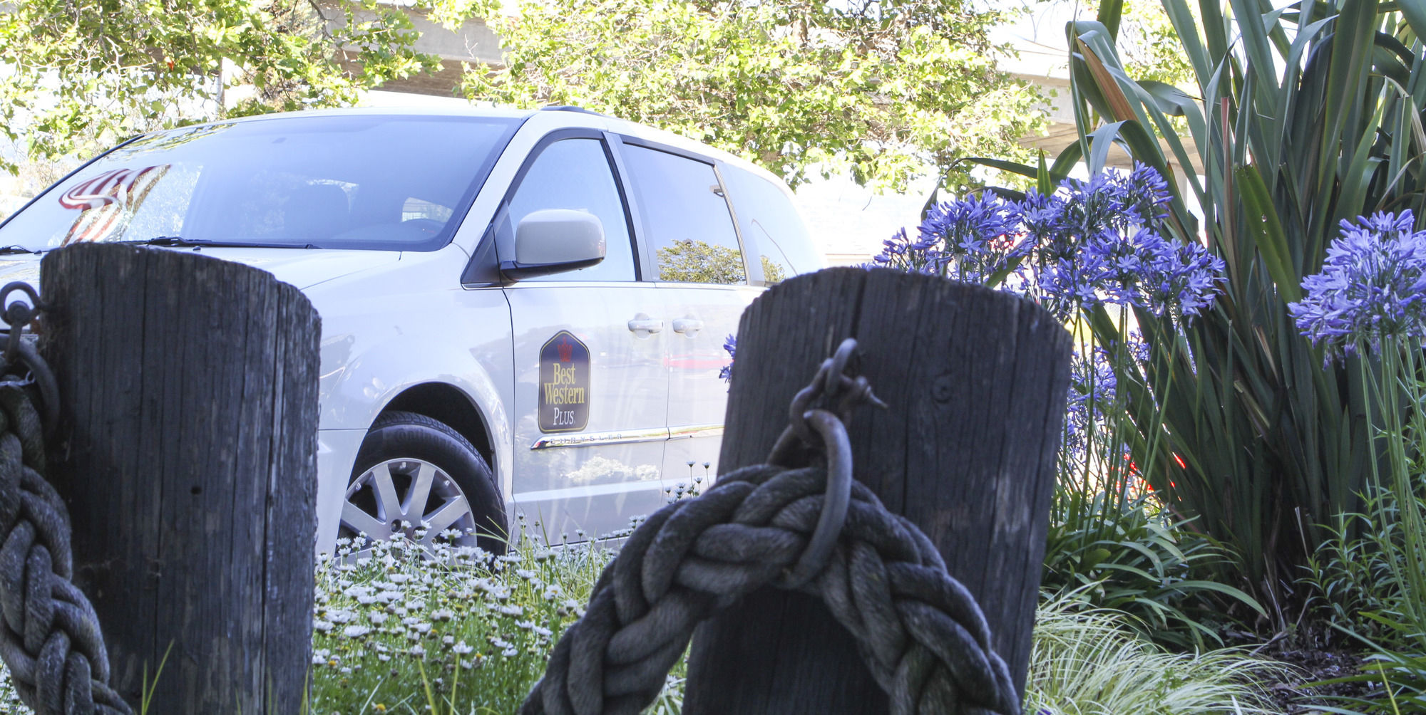 Фото Best Western Plus Bayside Hotel