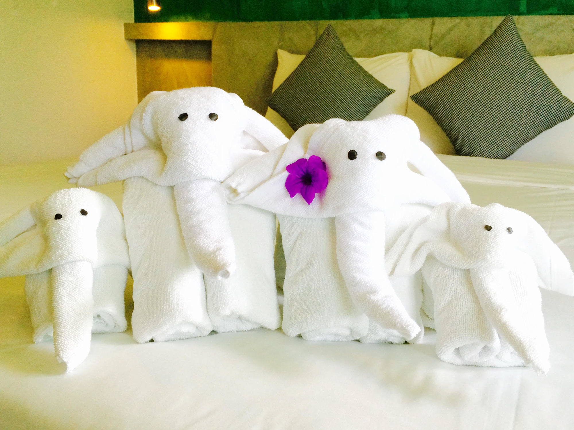 Фото Ideo Phuket Hotel