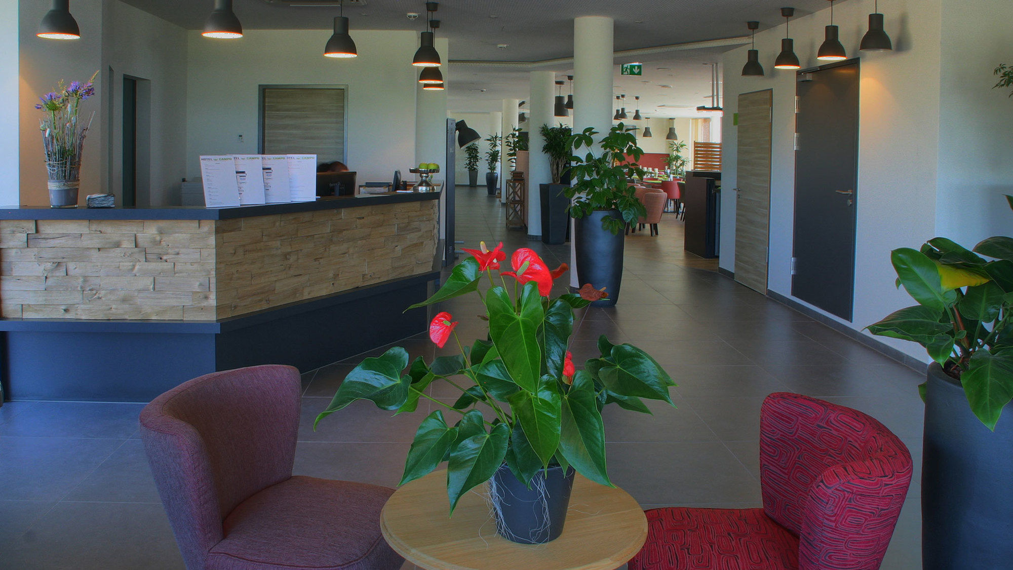 Фото Hotel Campo