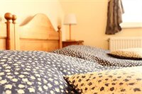 Фото Boulevard City Pension and Apartments