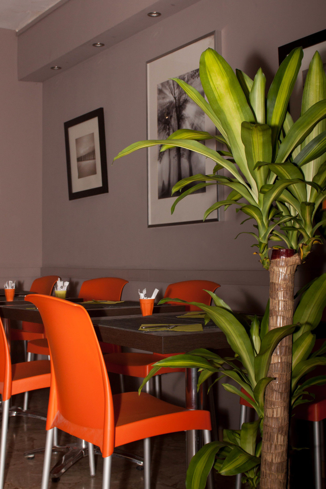 Фото L'Eau des Collines