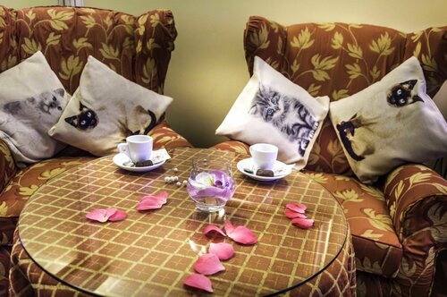 Гостиница Hotel La Bussola в Новаре