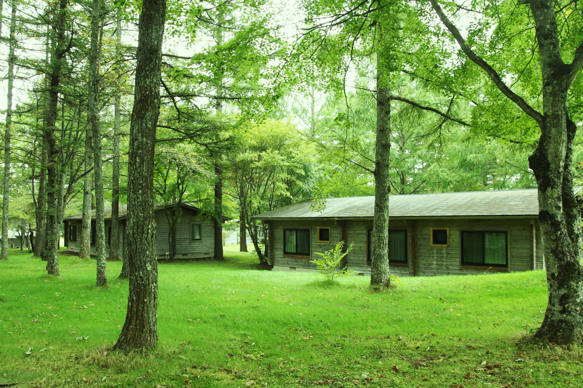Фото Karuizawa Prince Hotel West