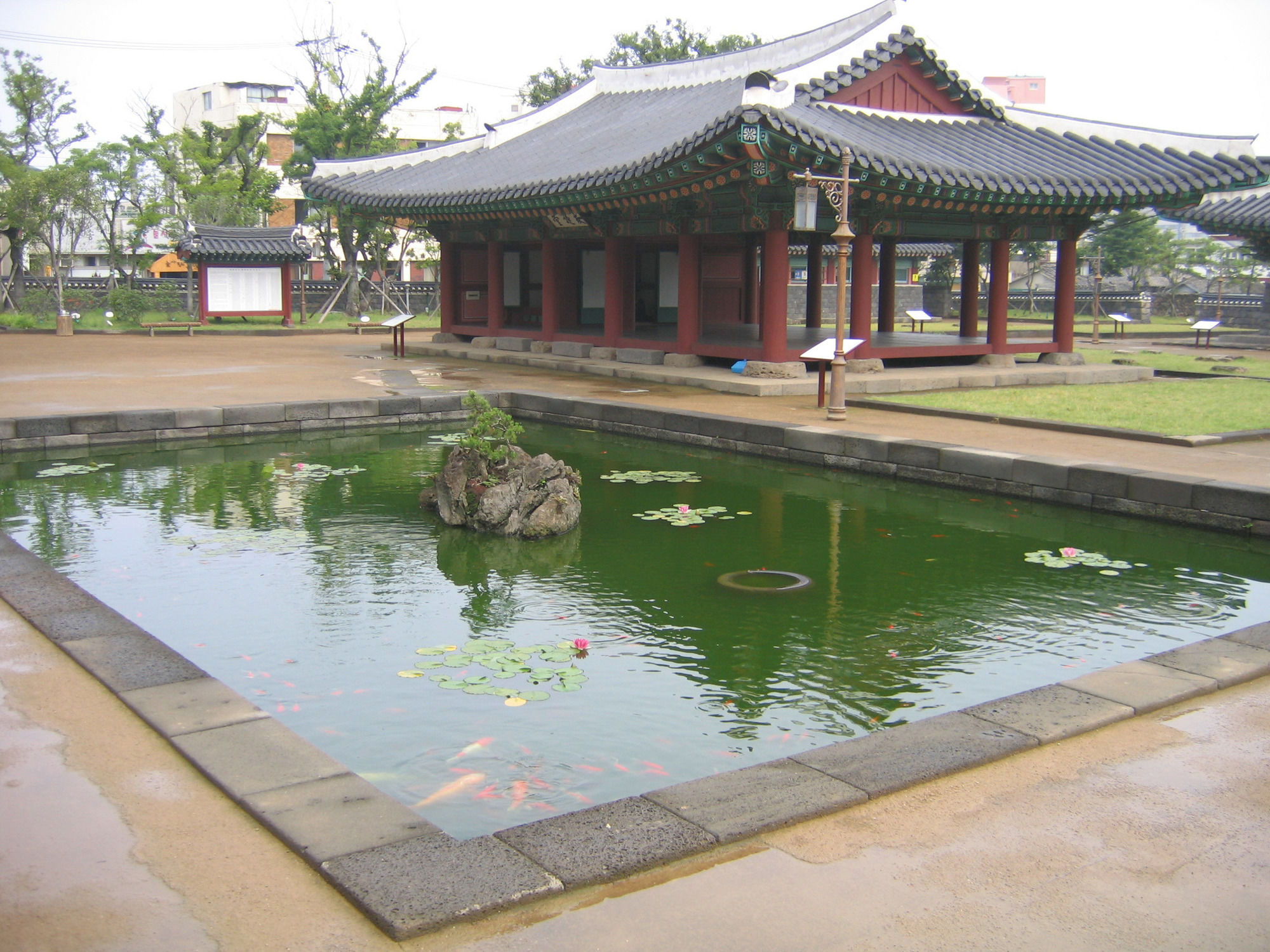 Фото Staz Hotel Jeju Robero