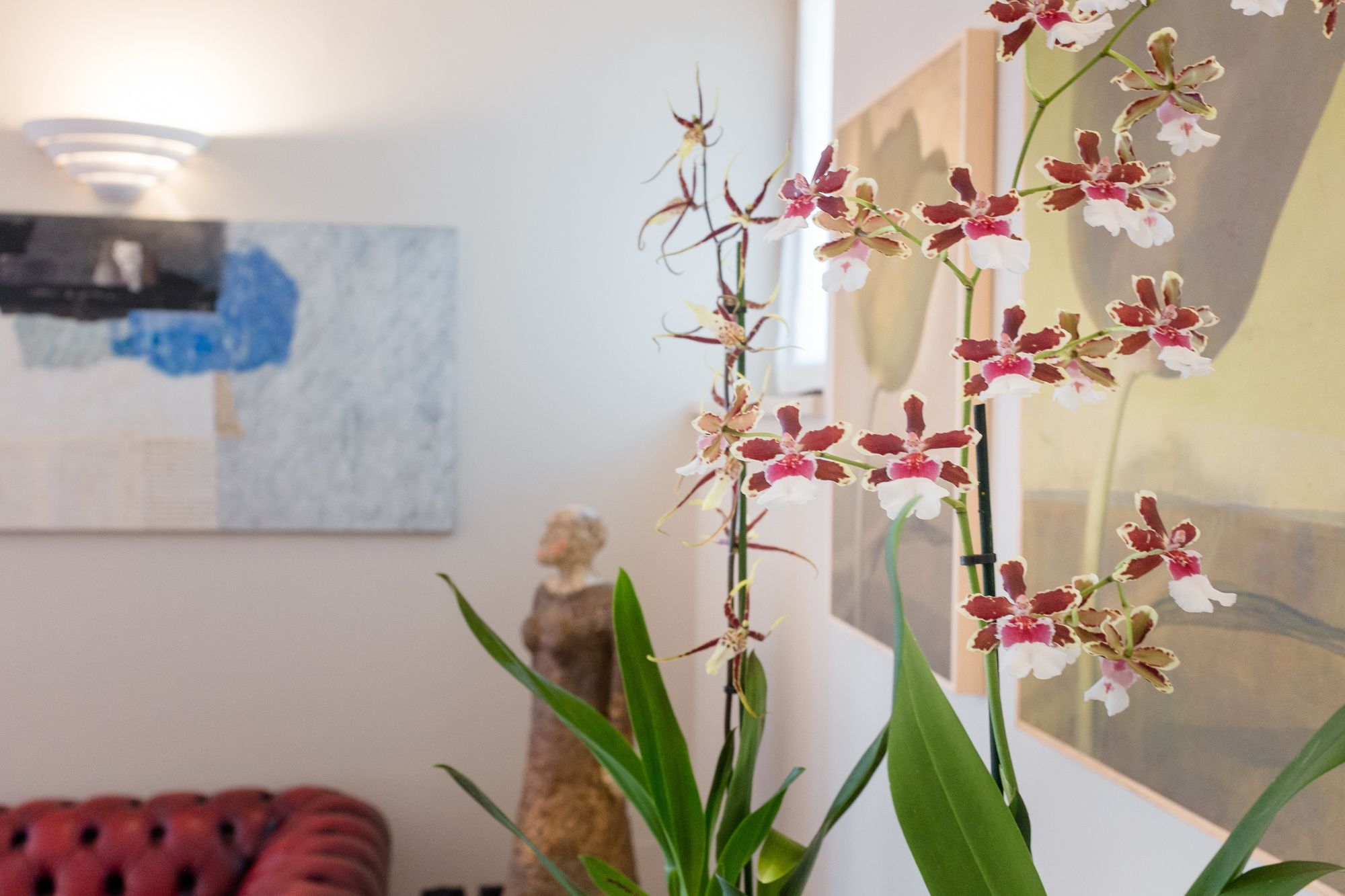 Фото Hotel Mon Repos