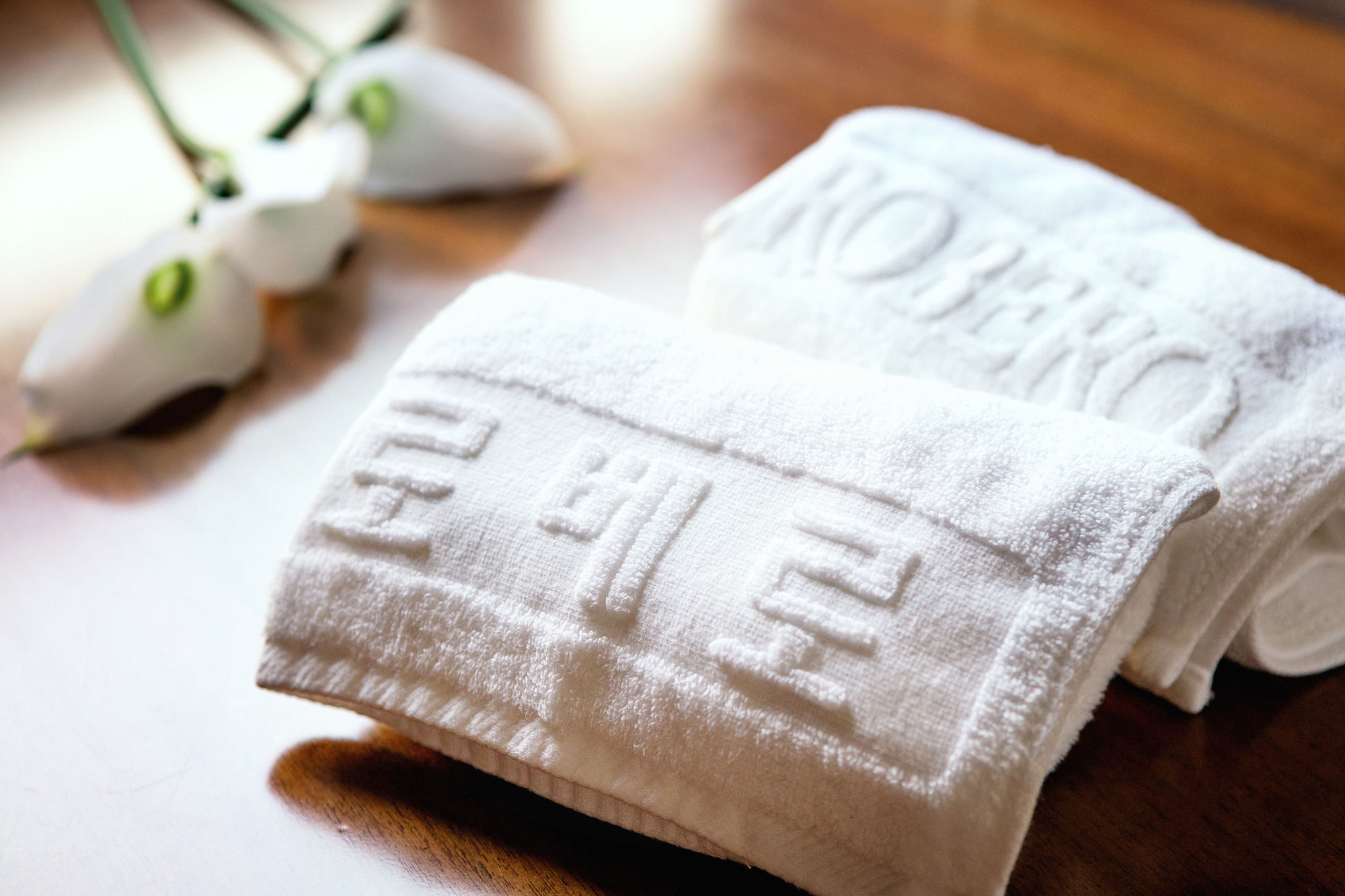 Фото Staz Hotel Jeju Robero