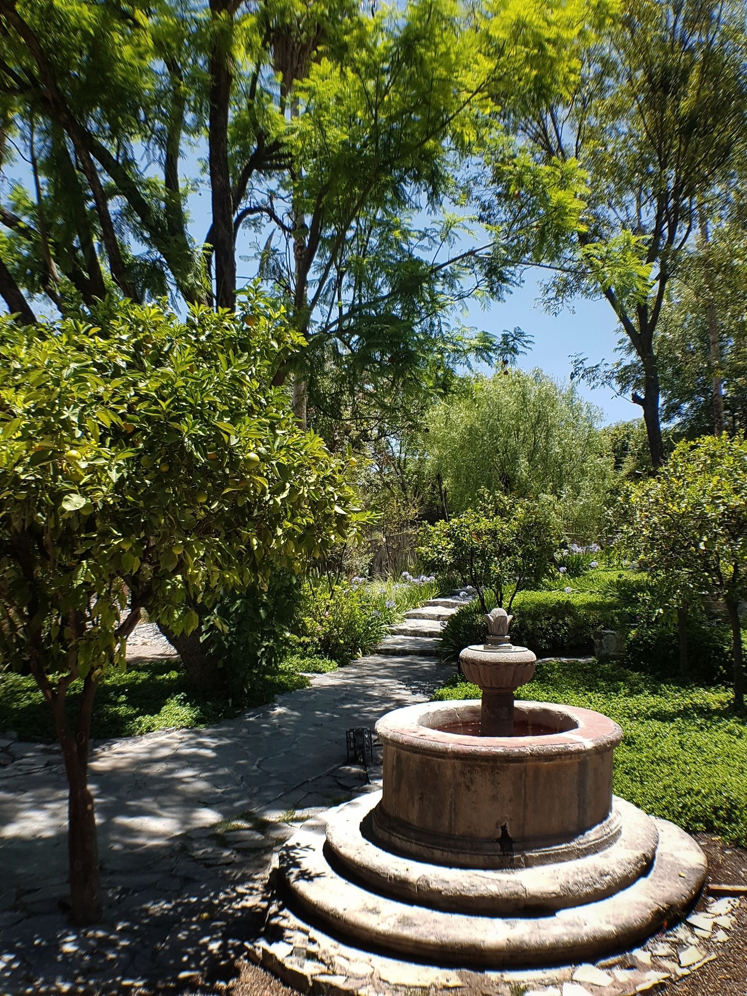 Фото 37870440053