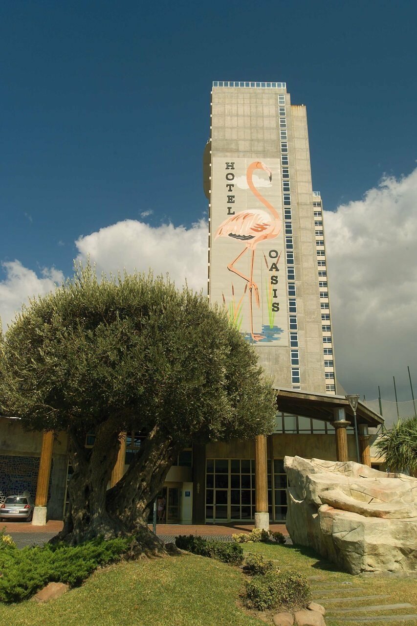 Фото Medplaya Hotel Flamingo Oasis