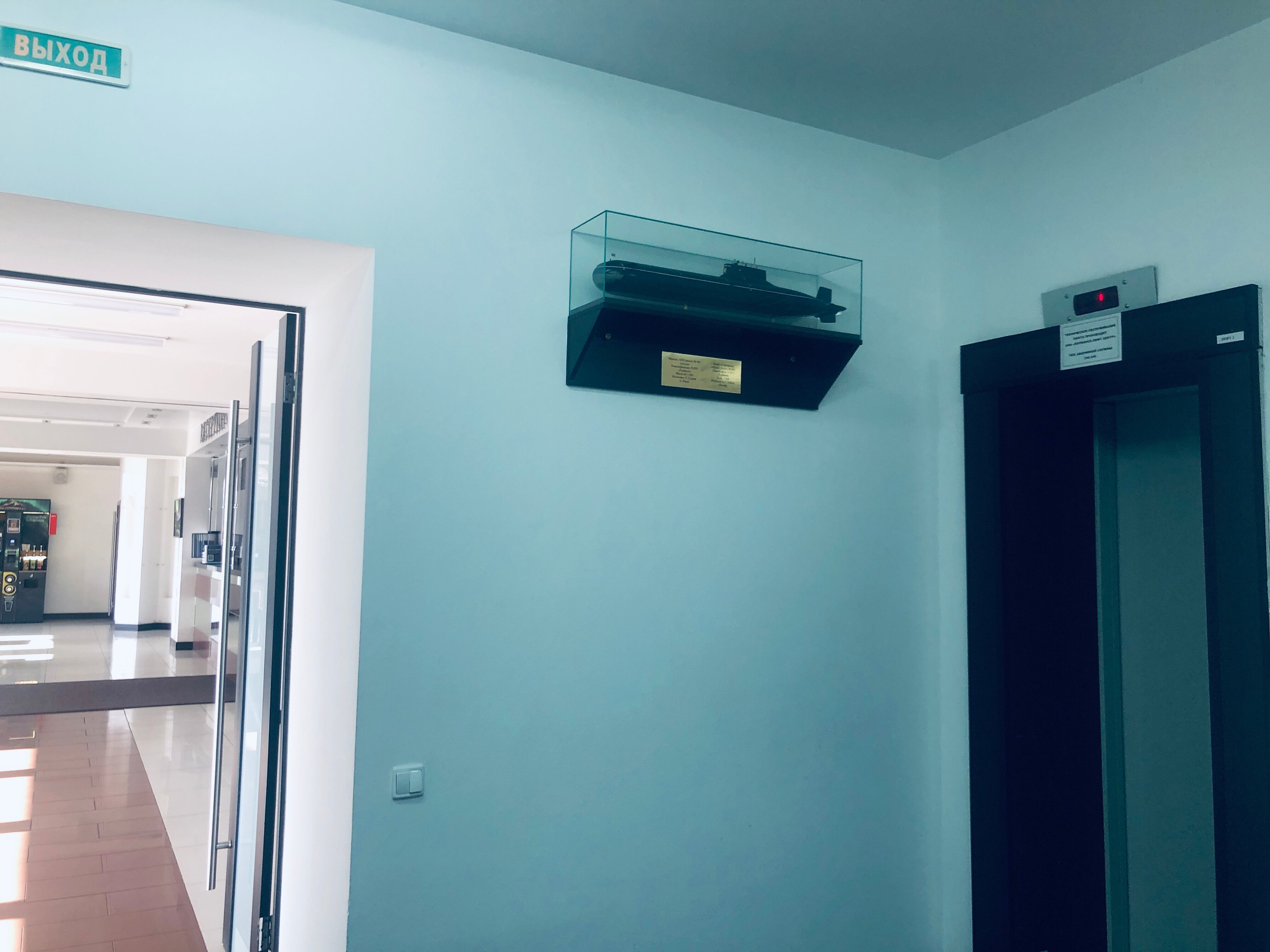 Фото из отзыва