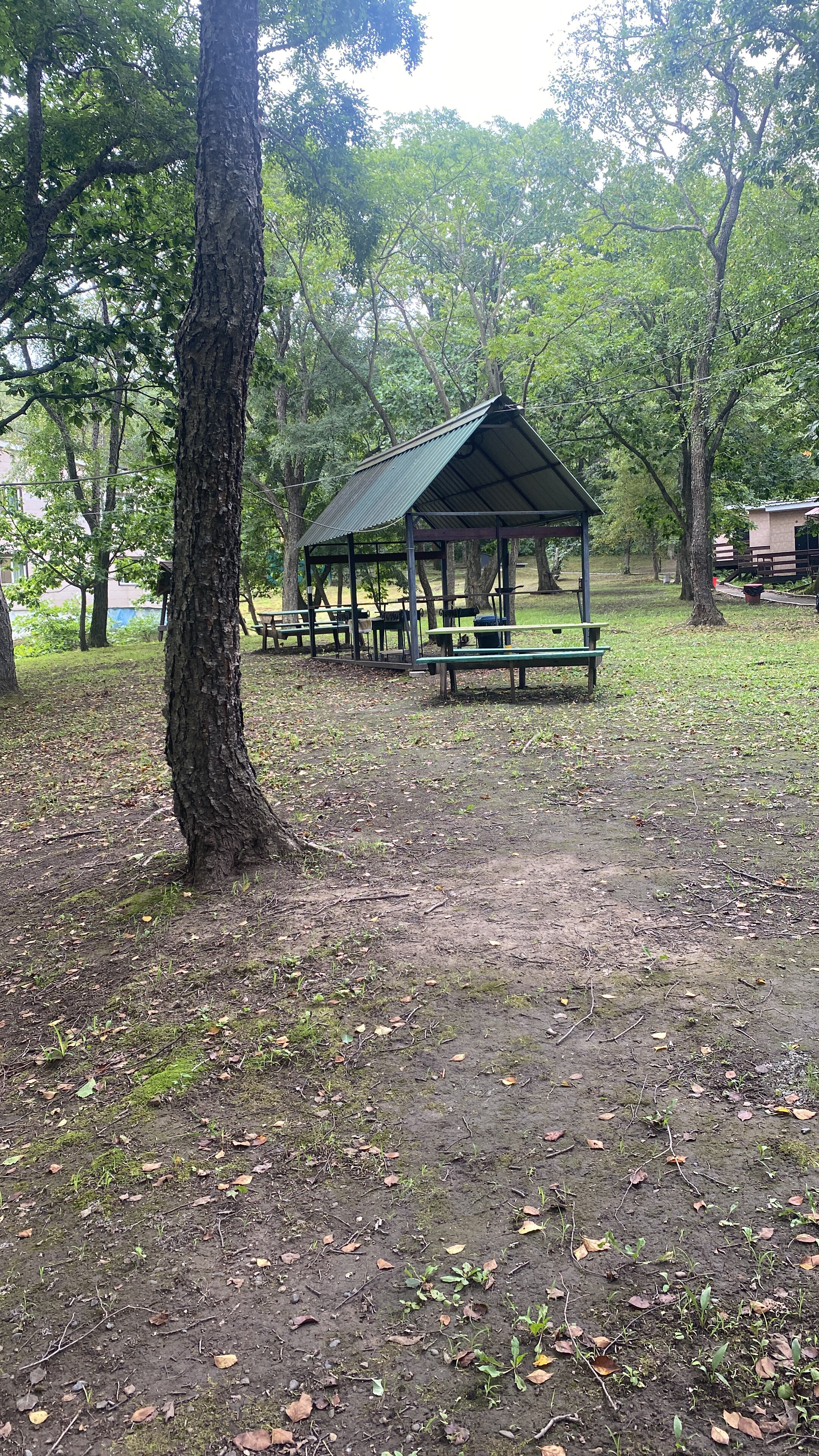 Фото Ковчег