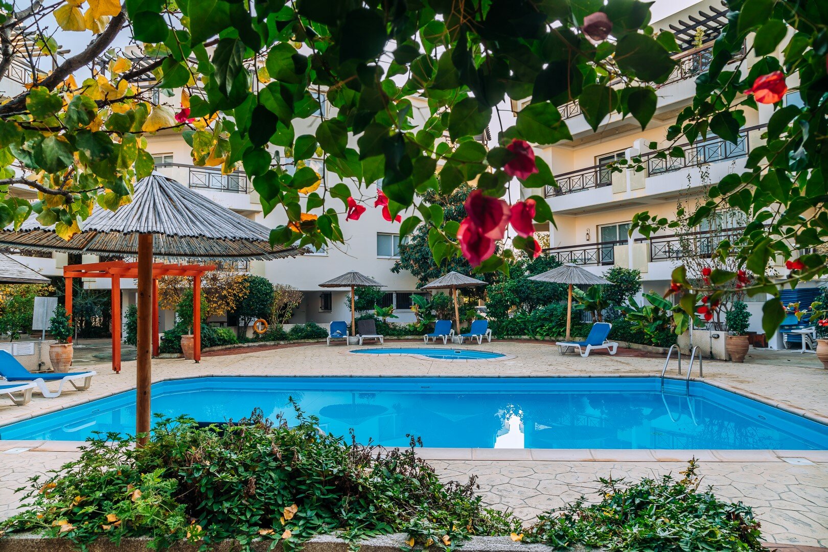 Фото Artemis Cynthia Complex