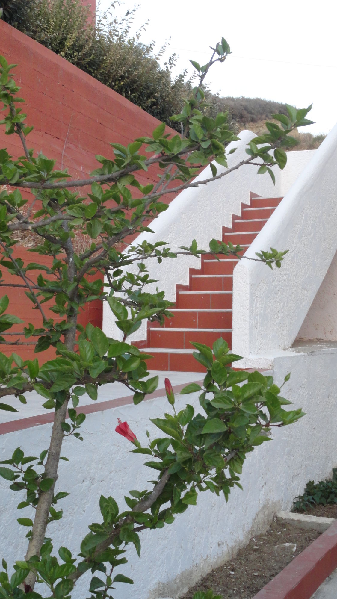 Фото Santa Maria Studios & Apartments