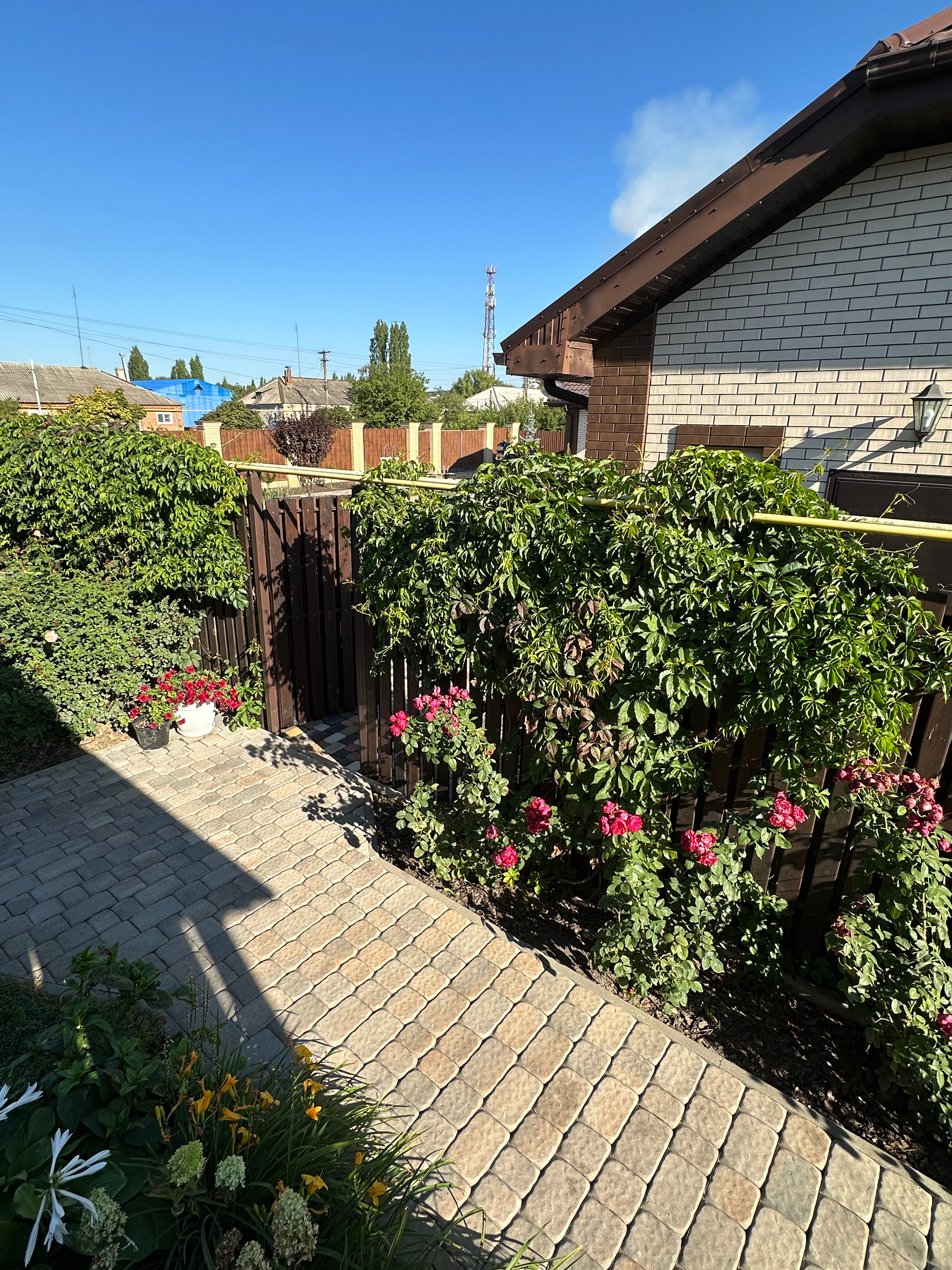 Фото Прованс