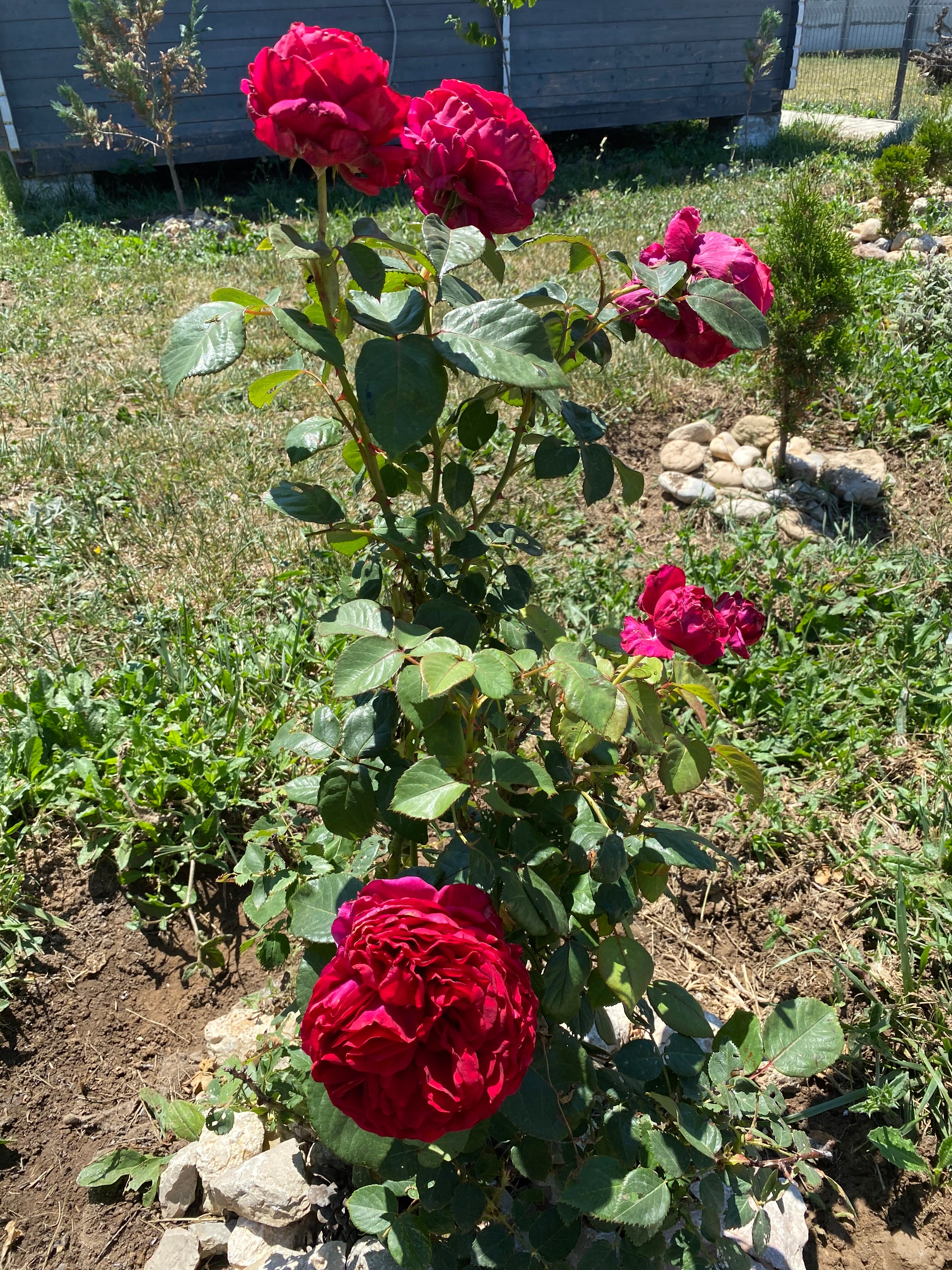 Фото Kacha. Village