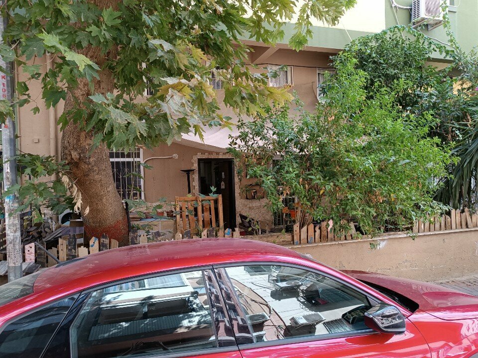 Business consulting Alfamera Consulting and Izek, Izmir, photo