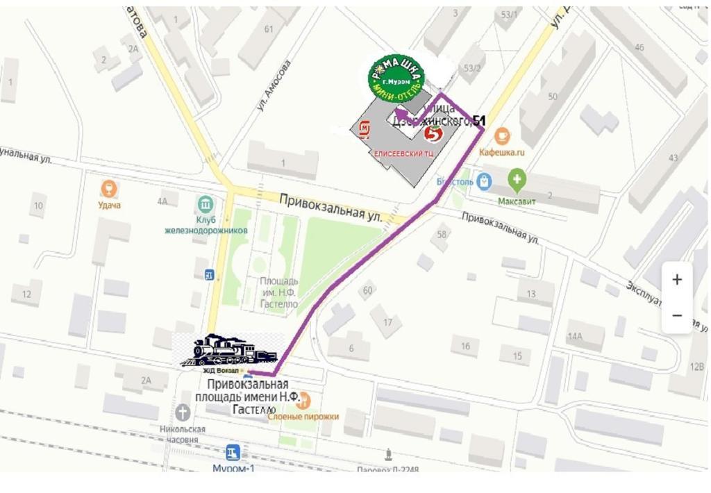 Фото Ромашка