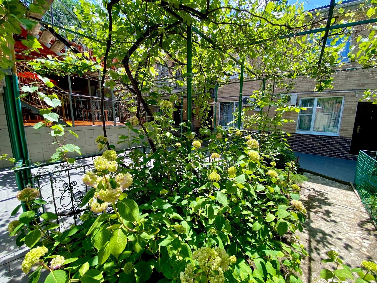 Фото Восход