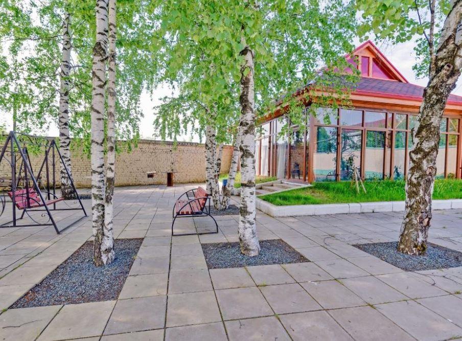 Фото Тополя