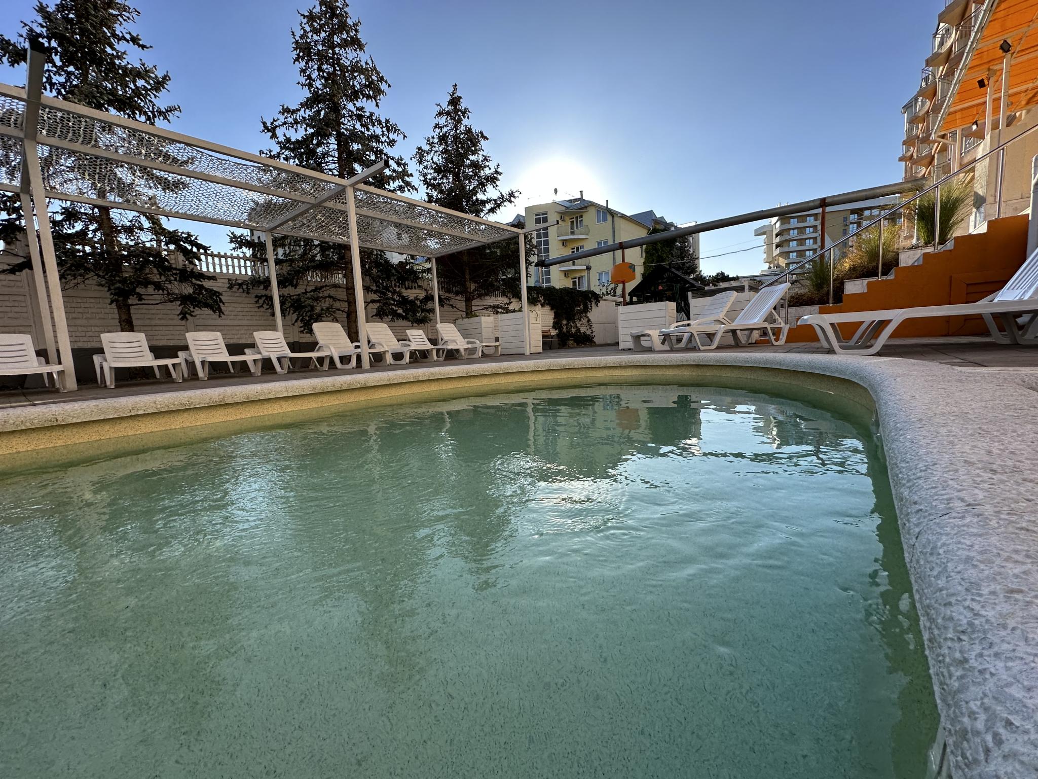 Фото Мандарин