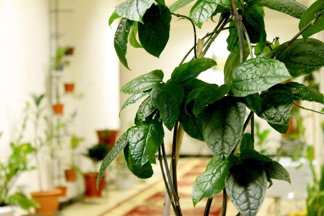 Фото Старый замок