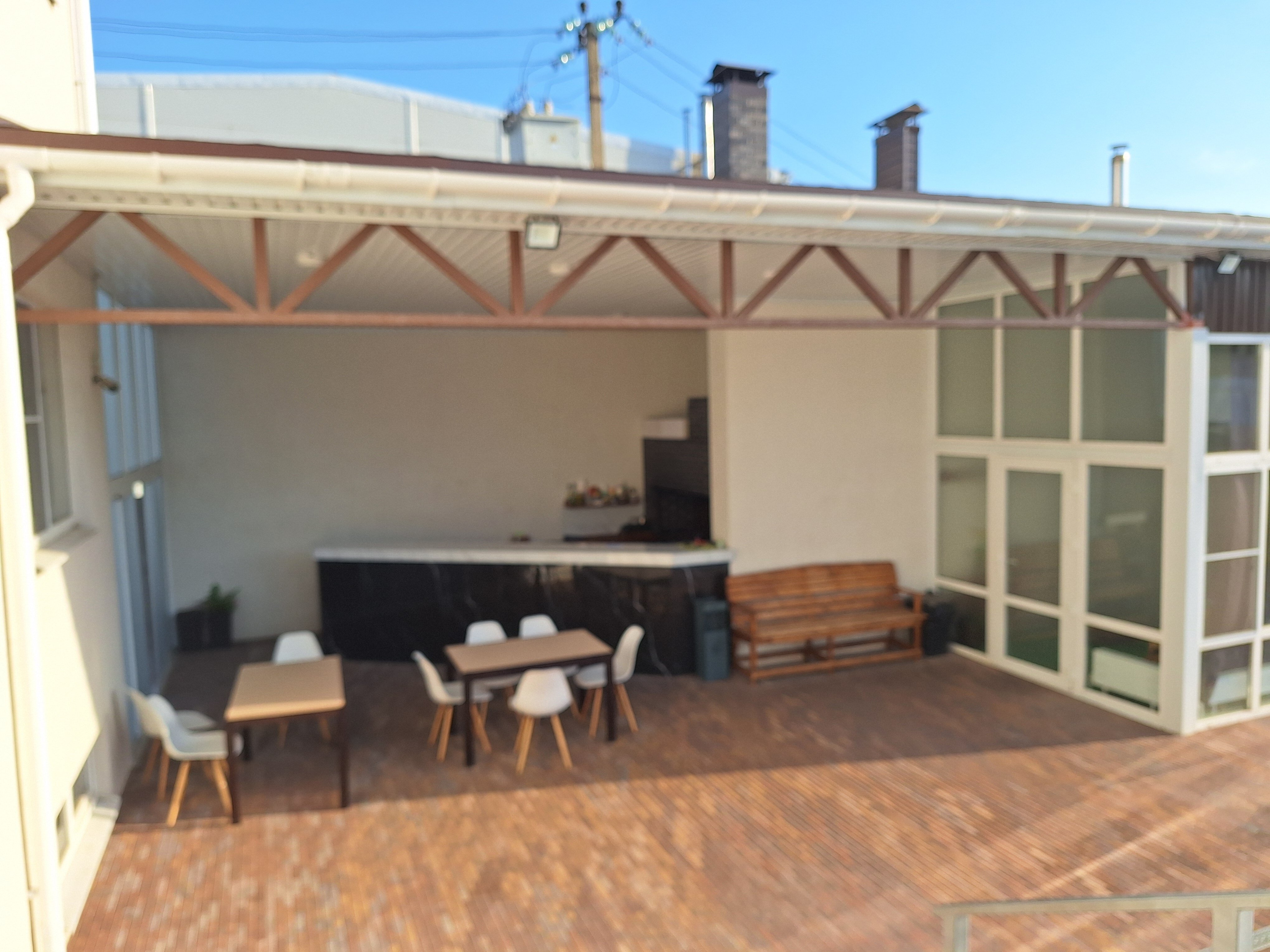 Фото Папоротник