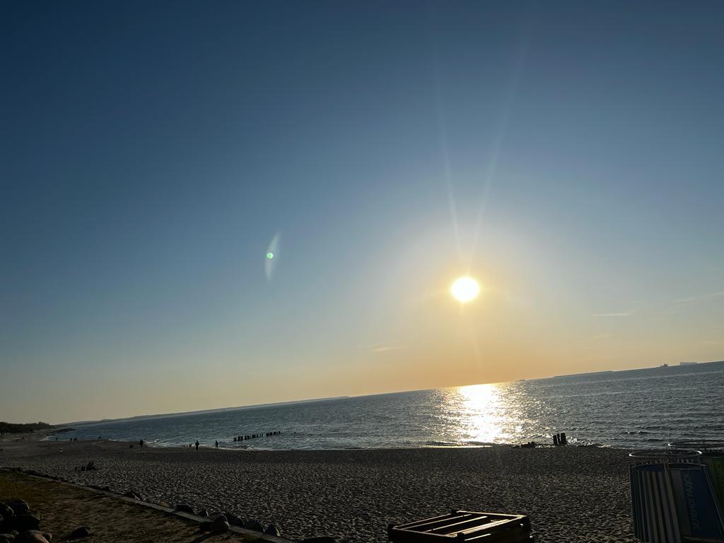 Фото Белый лотос