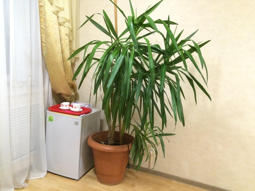 Фото Кармен