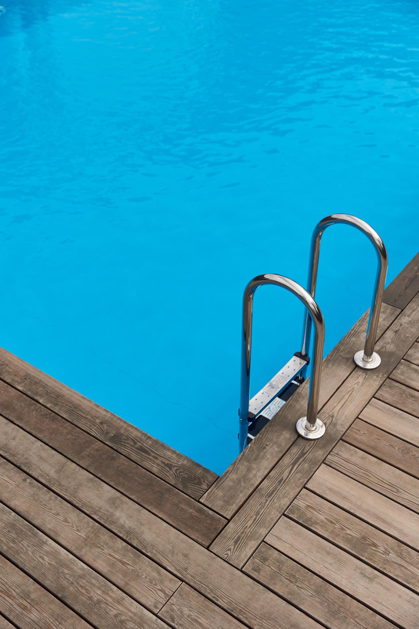 Фото Iva тенистая