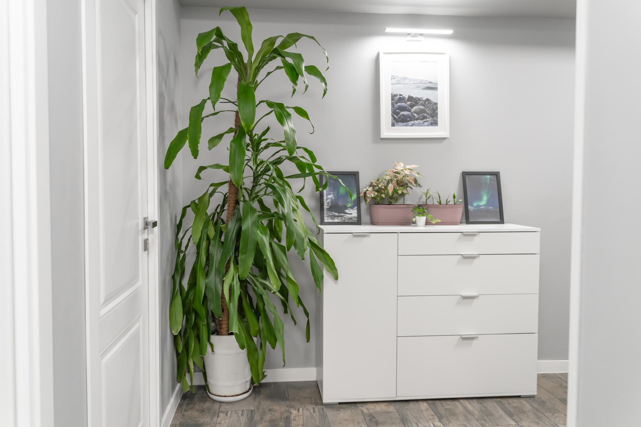 Фото Три барсука