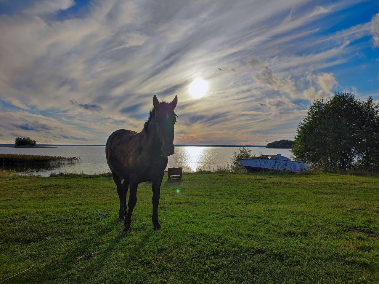 Фото Спортивно-рыболовная база отдыха Здешево
