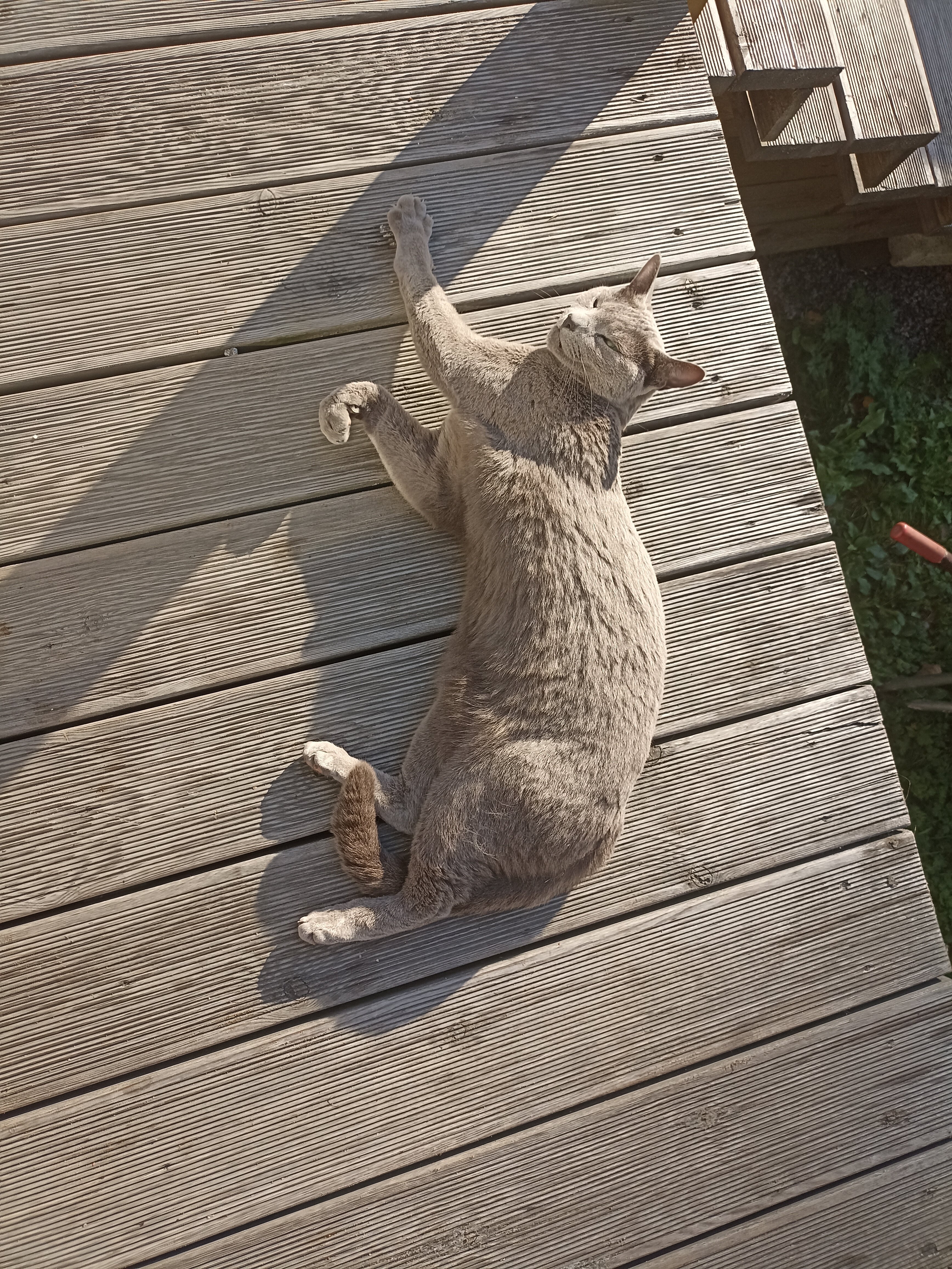 Фото Forest Park