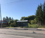 Красновидово (Moscow Region, 46N-05488), parada de transporte público
