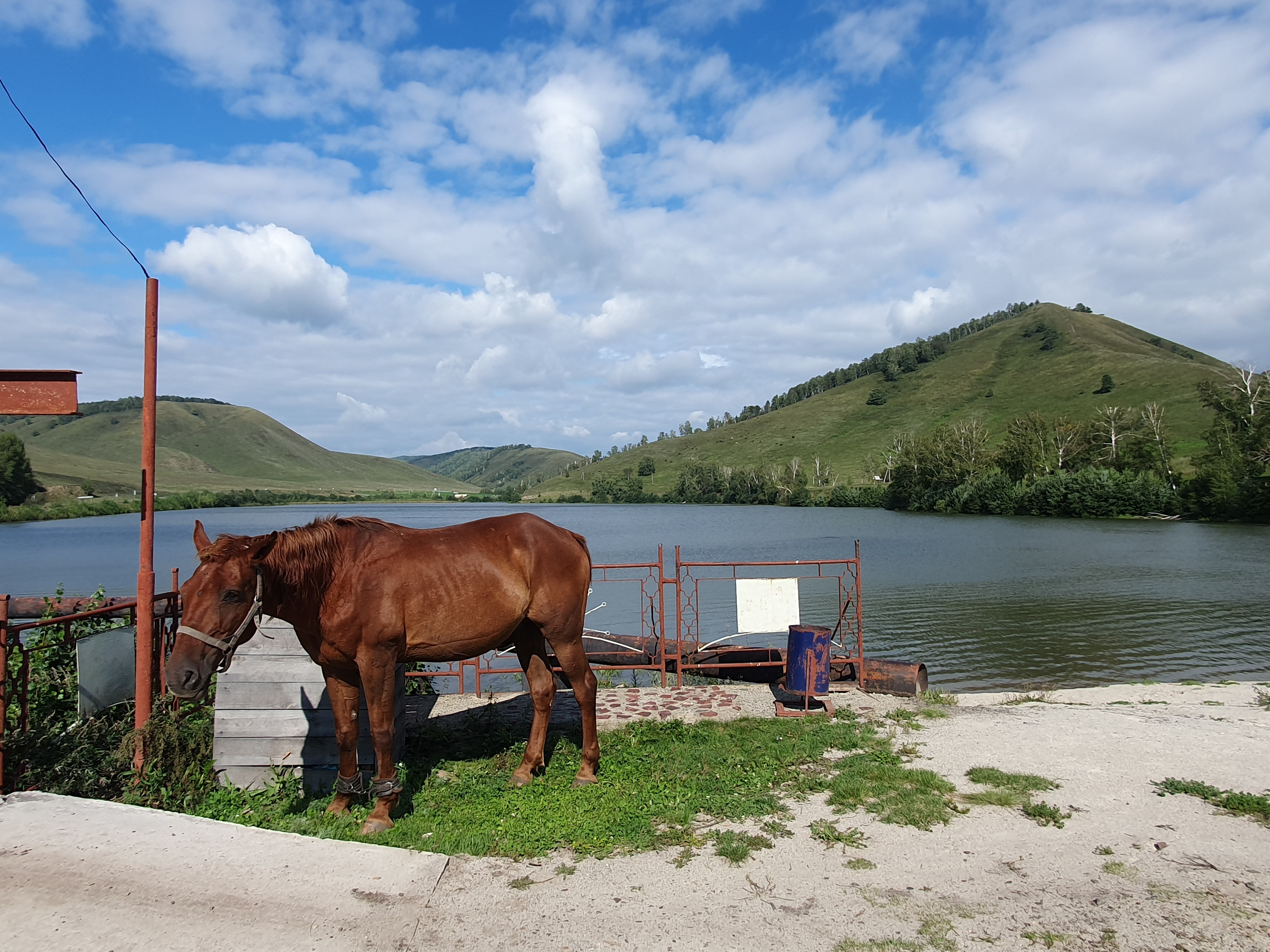 Фото Ямашла