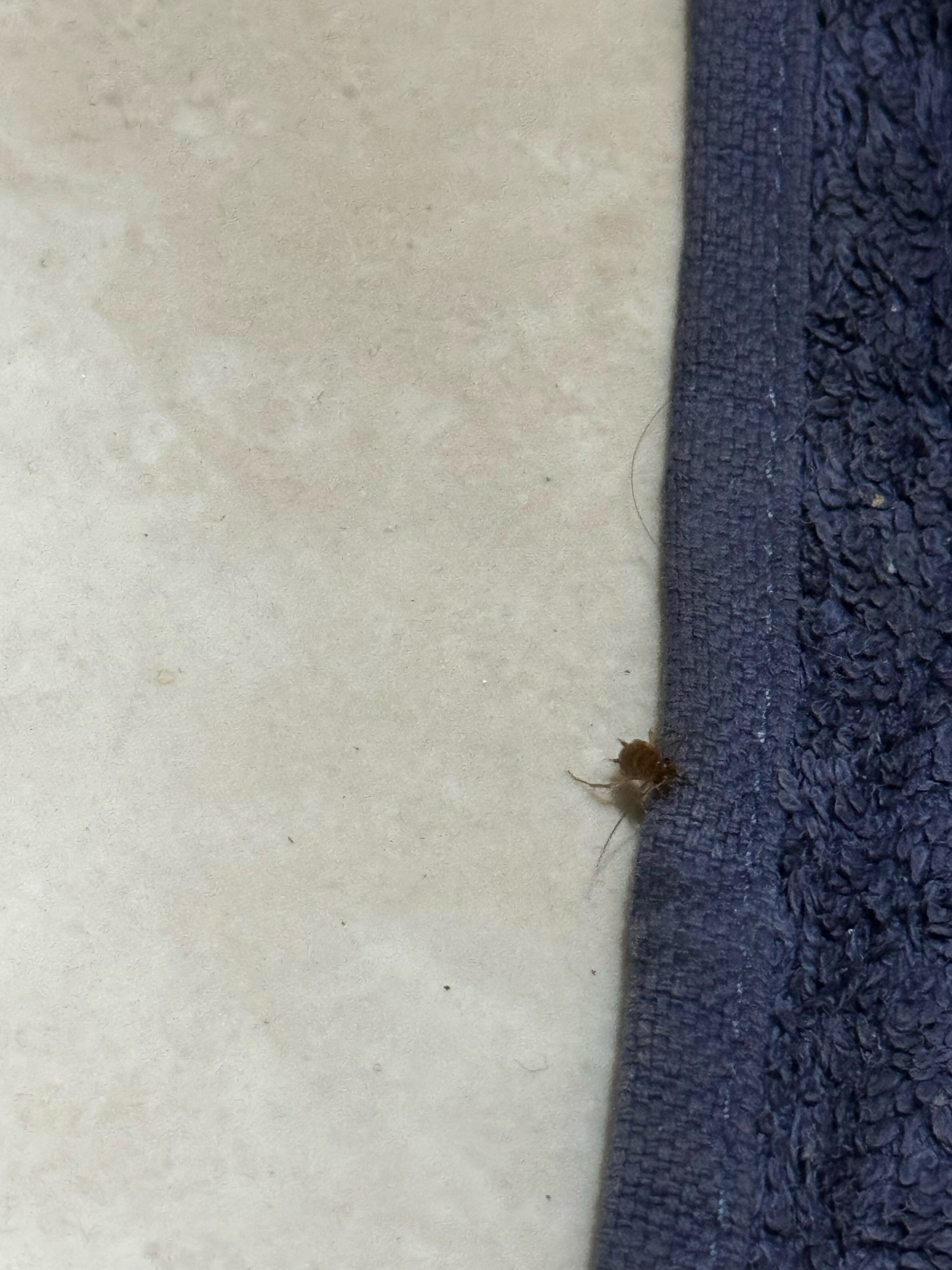 Фото Друзья