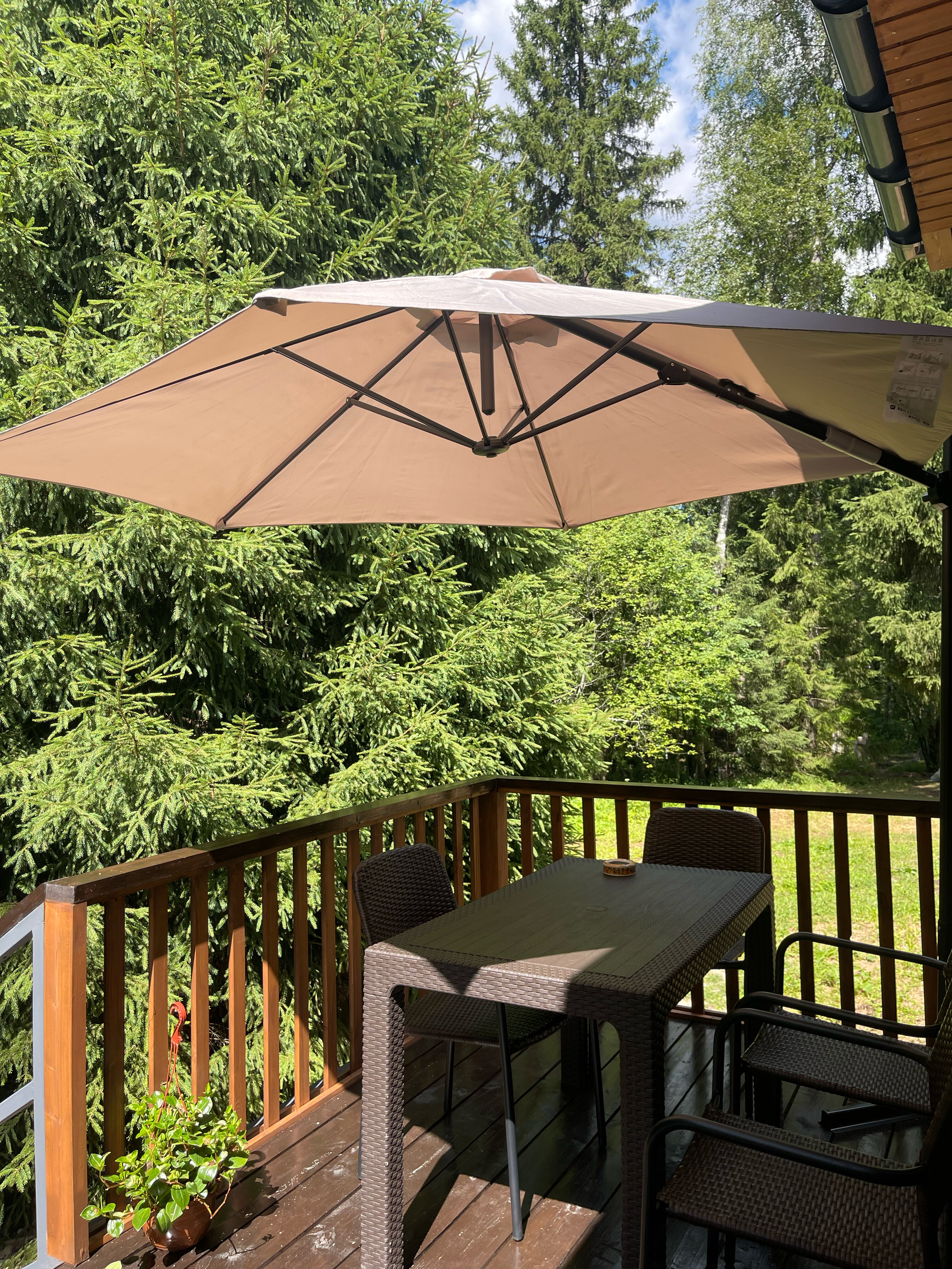 Фото Дом и Елки