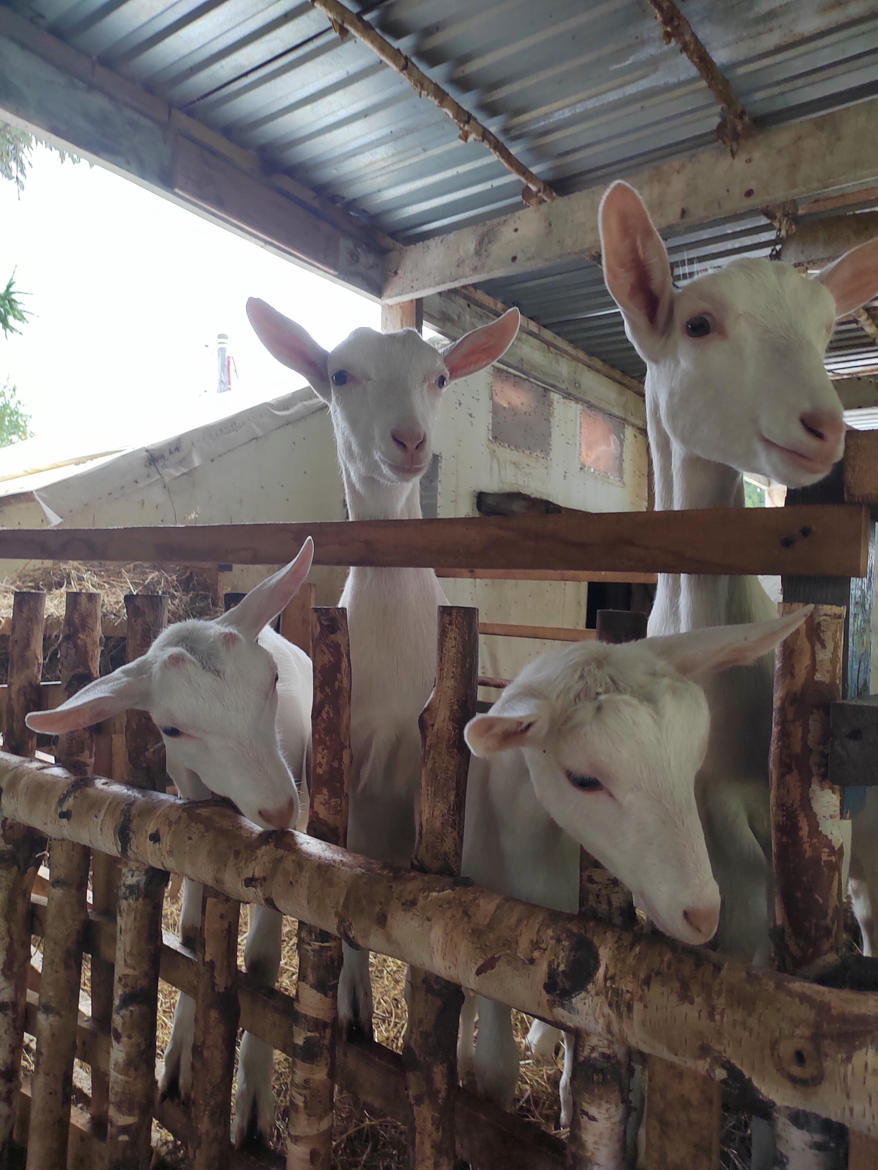 Фото DarkSideCamp