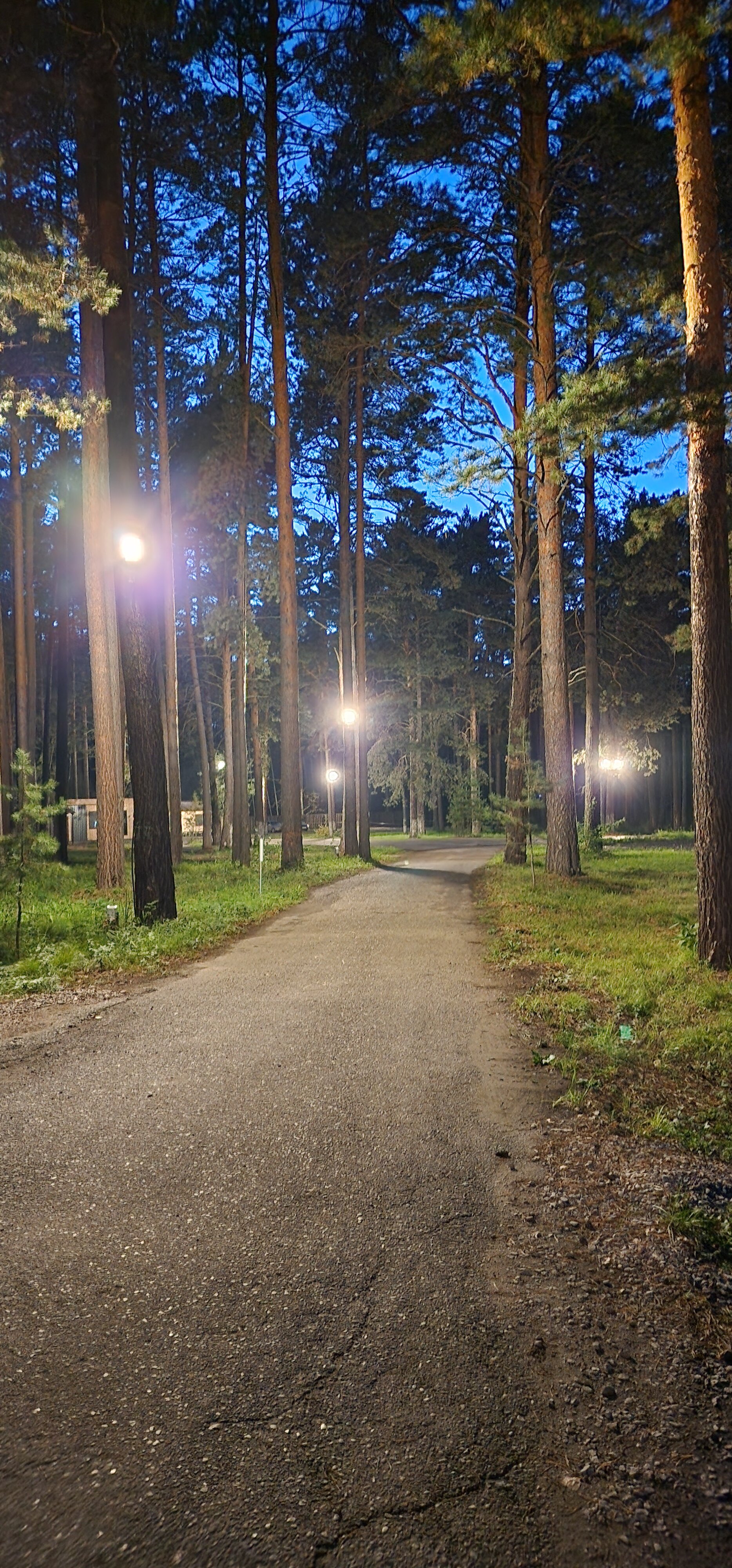 Фото Мишкины Шишки