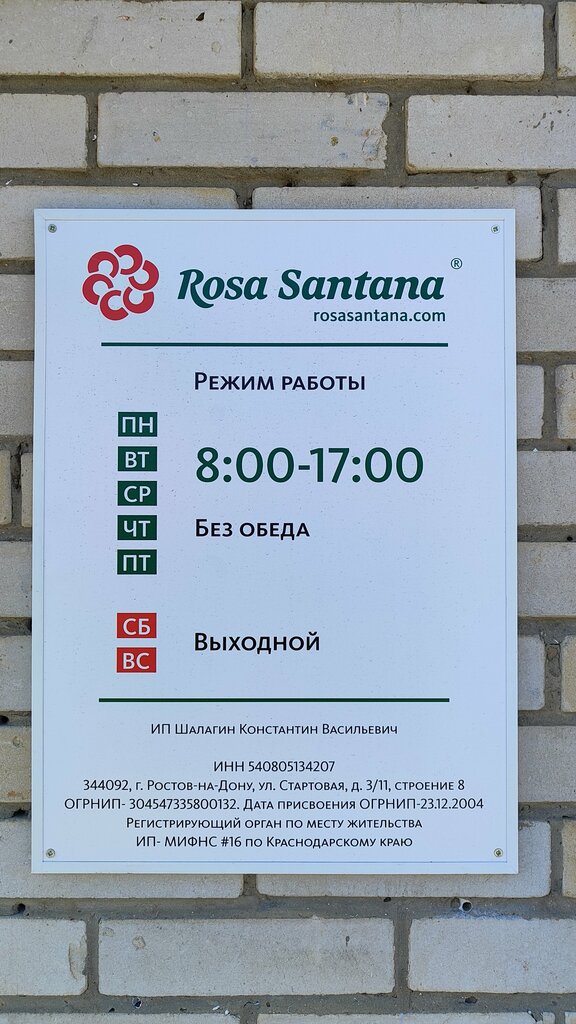 Искусственные растения и цветы Rosa Santana, Ростов‑на‑Дону, фото