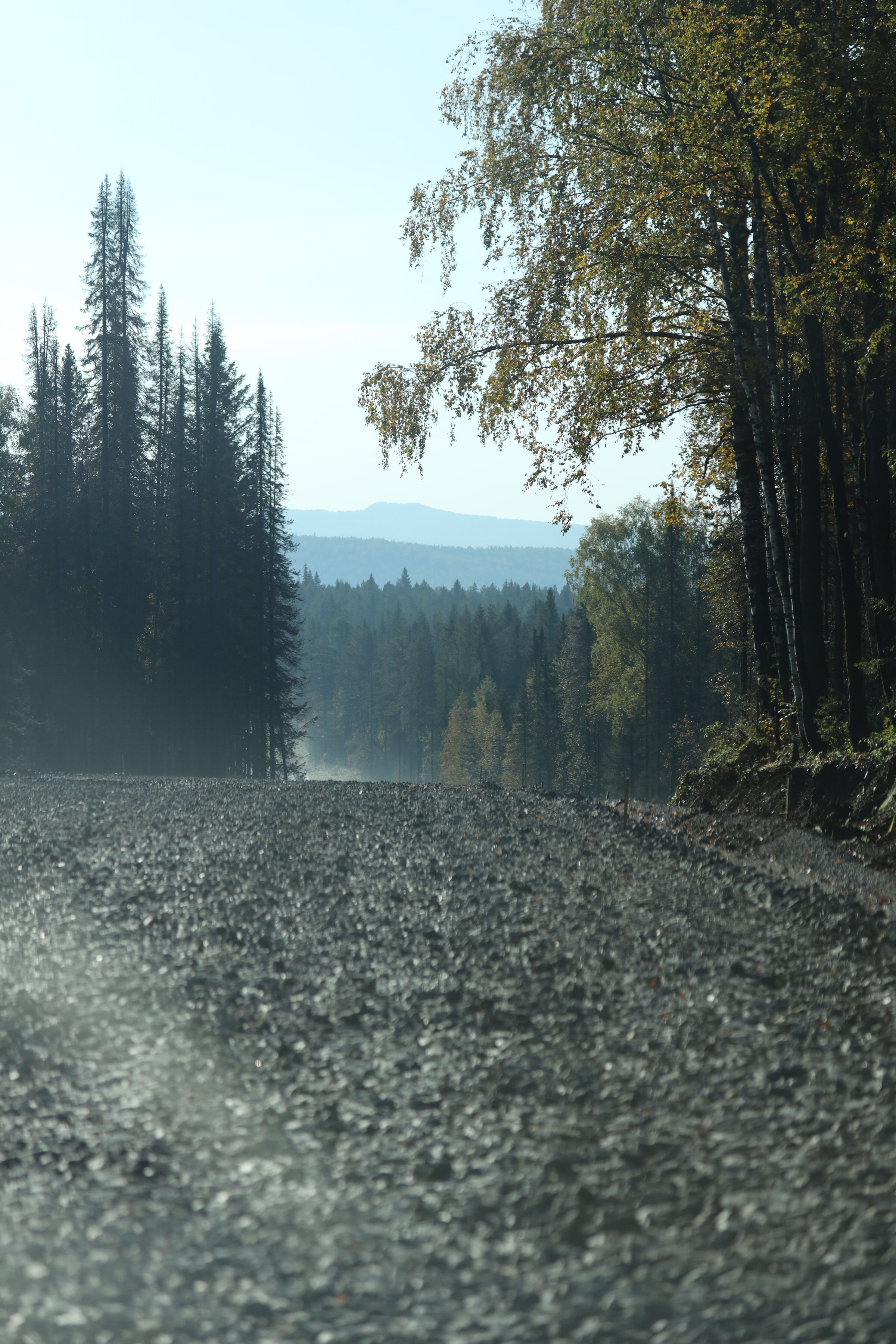 Фото Ясная поляна