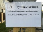 Bujnichy – Lugavaja vulica (Magiliowski rajon, Bujnicki sielsaviet, agragaradok Bujnichy, Tsentralnaya ulitsa), public transport stop