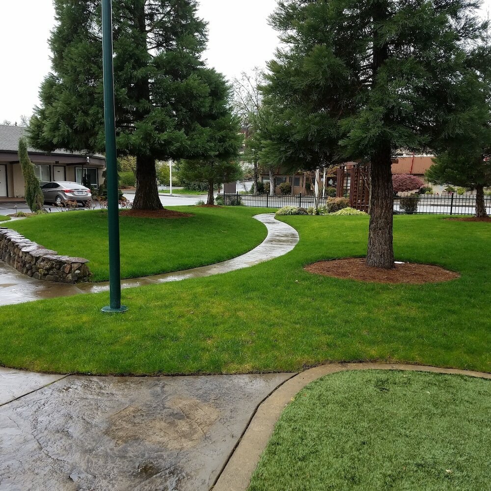 Фото Redwood Hyperion Suites